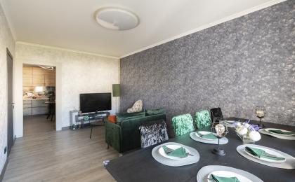 Квартира для ВАС Московская область Борисовка ул.